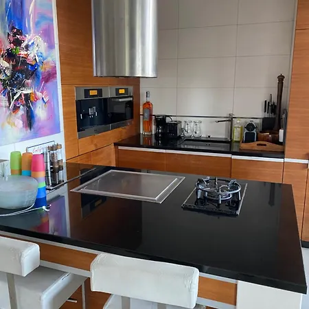 Promenade Des Center Sea And Front Design Flat With Private Garden 公寓 *