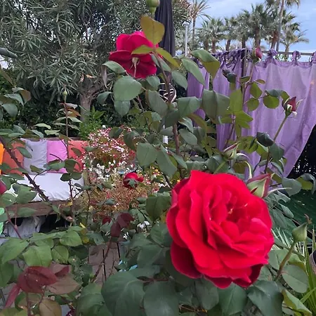 Promenade Des Center Sea And Front Design Flat With Private Garden Apartmán